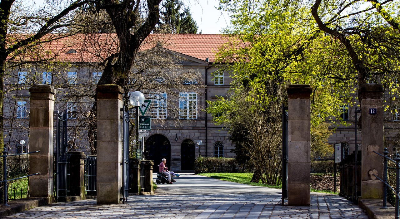 洛陽王城大道最新動態(tài)，城市發(fā)展的脈搏與未來展望