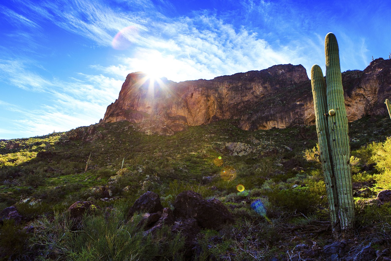 蘭州富士康最新動態(tài)，發(fā)展、影響與未來展望全面解讀