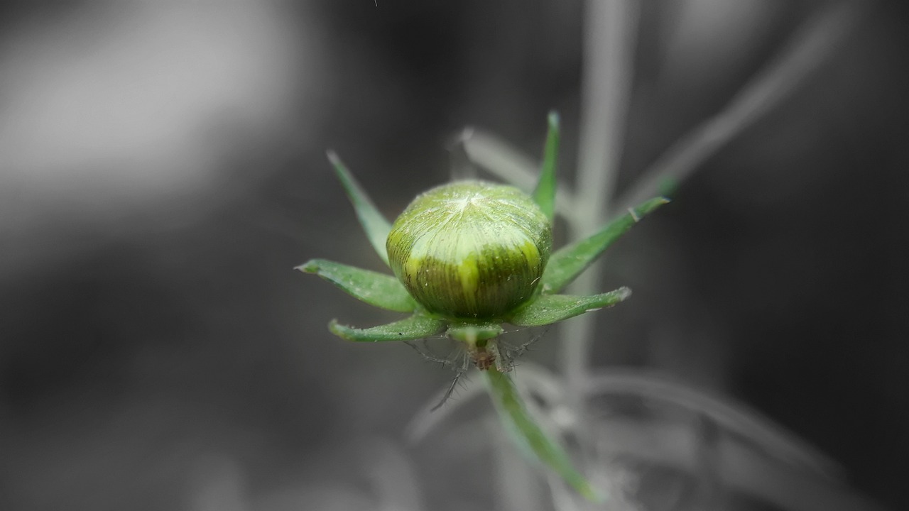 托普軟件最新消息深度解析，公司動態(tài)與技術(shù)進展一網(wǎng)打盡