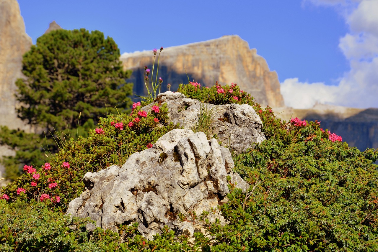 哈市道外區(qū)最新招聘動態(tài)，崗位發(fā)布與影響分析