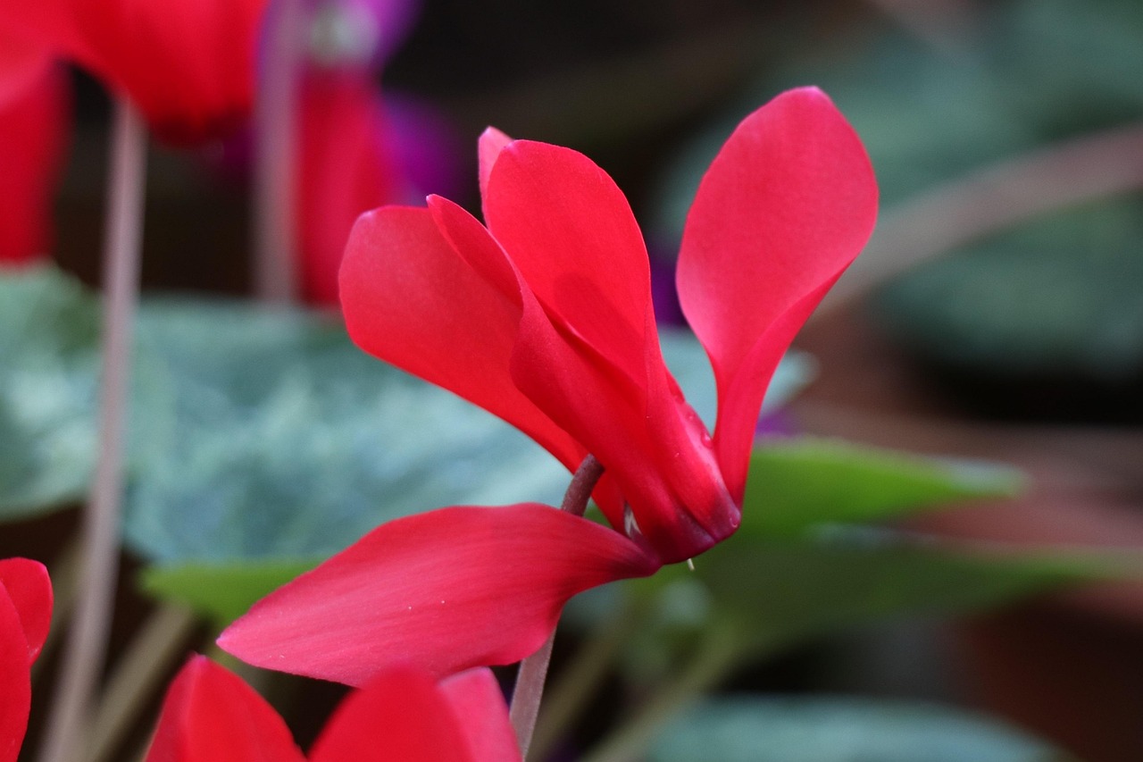 深度解析軍事動(dòng)態(tài)與全球安全局勢(shì)，軍情觀察最新一期報(bào)道速遞