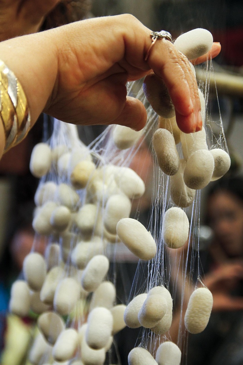 三殿村改造最新動態(tài)，重塑鄉(xiāng)村風(fēng)貌，邁向現(xiàn)代化進(jìn)程