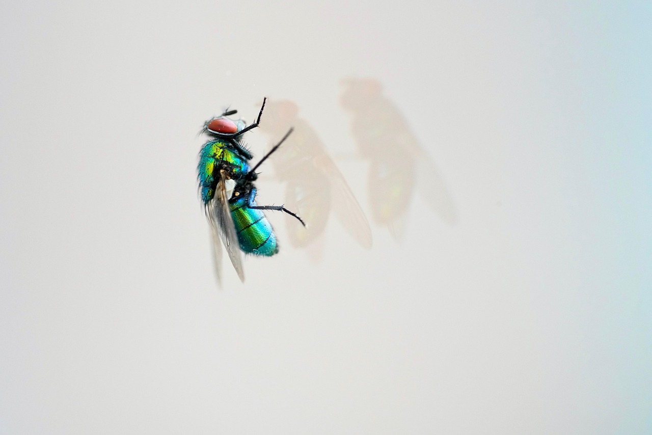 天天炫斗最新版2015年，游戲新體驗(yàn)與特色解析