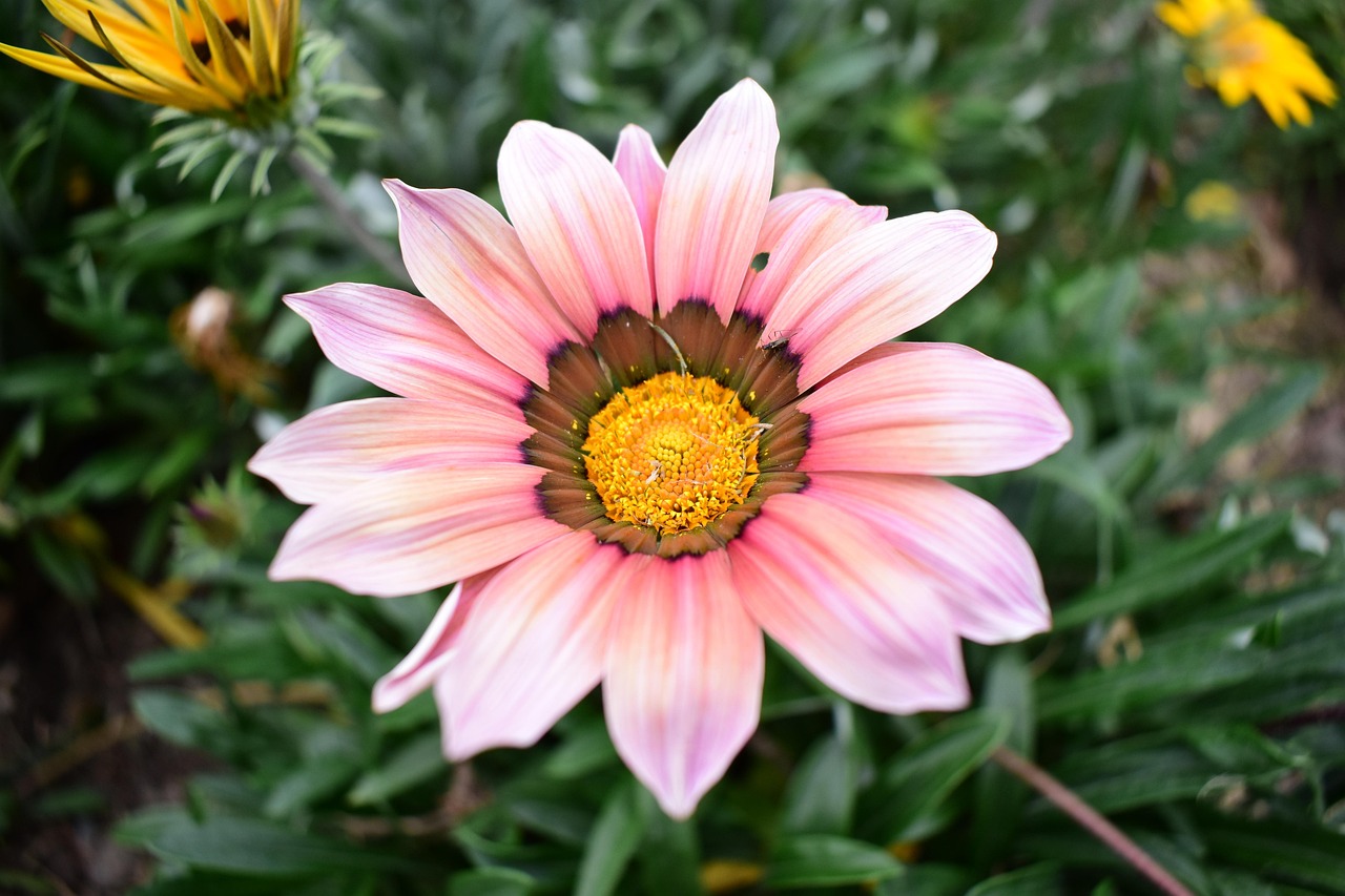 云聯(lián)惠重塑零售業(yè)格局的最新動態(tài)報道，重塑零售業(yè)的力量與趨勢分析