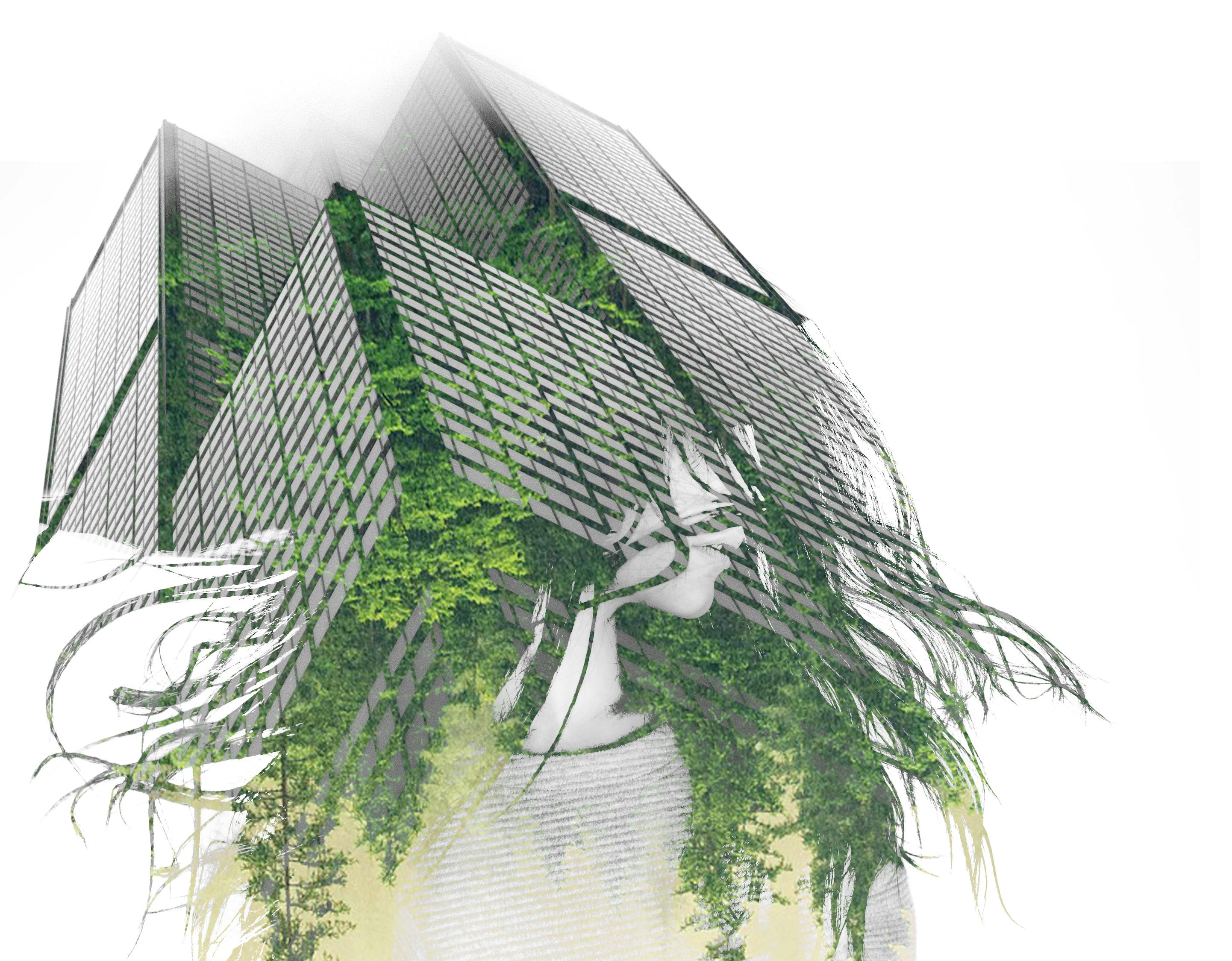 楊冪街拍生活照曝光，時尚潮流風向標的新動態(tài)