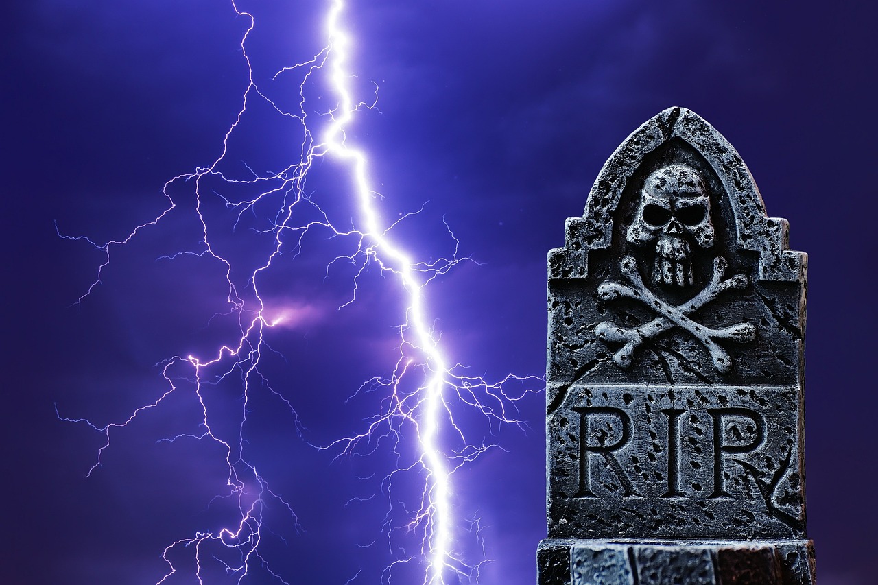 閃咖下載最新版本，探索其魅力與優(yōu)勢