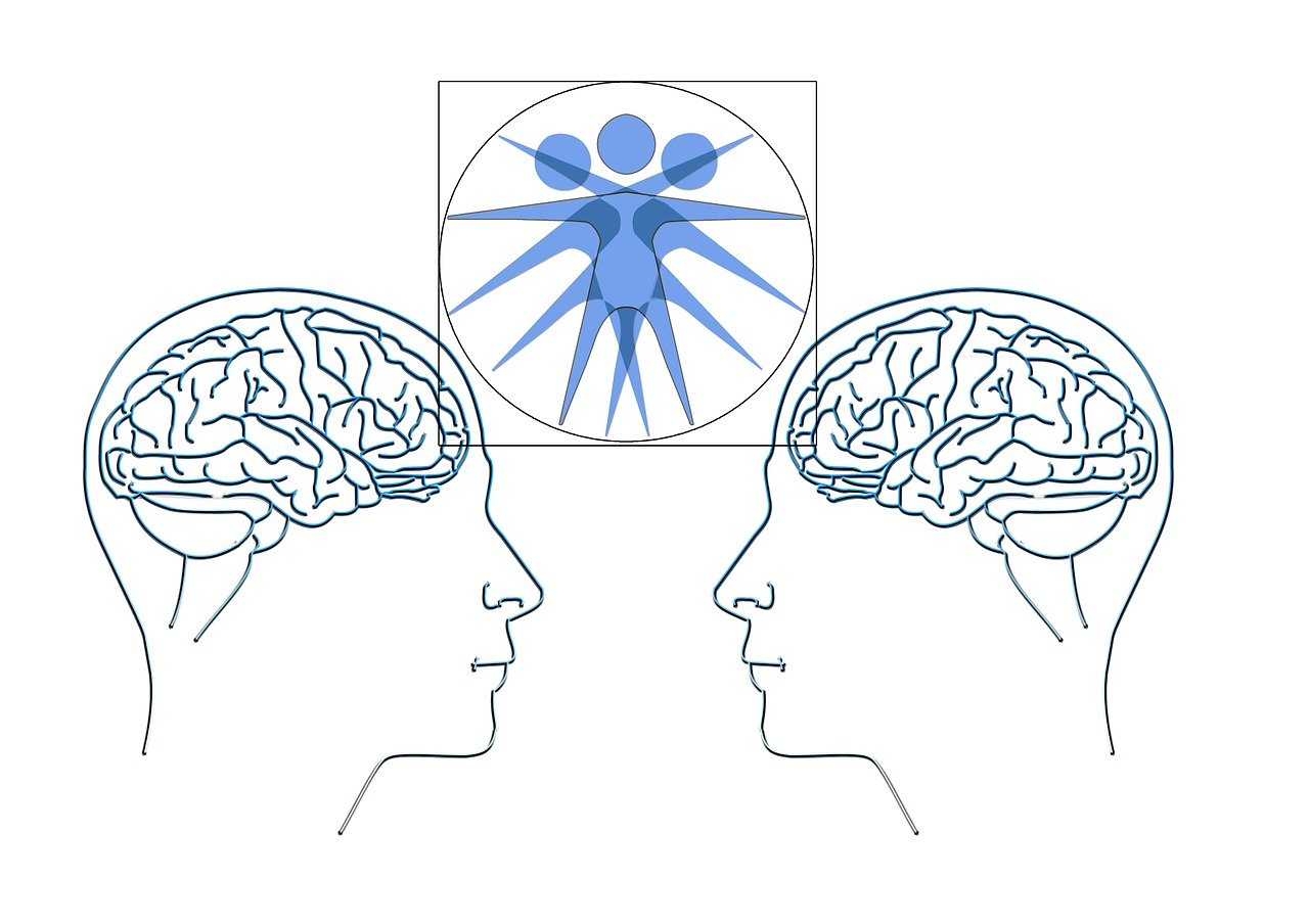華海新天地最新情況概述，最新進(jìn)展與動態(tài)速遞