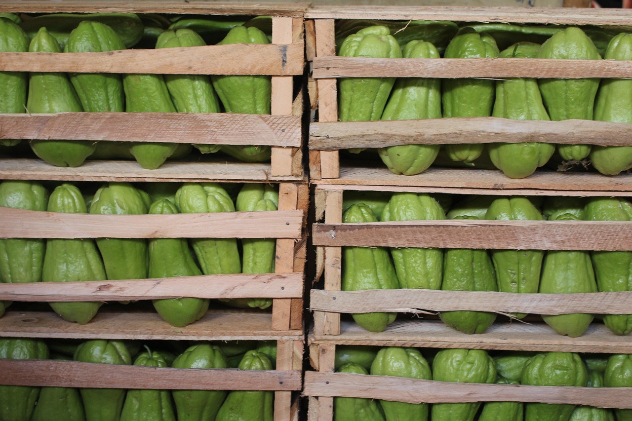 濱康綜合體最新動態(tài)，城市發(fā)展的璀璨明珠閃耀光芒