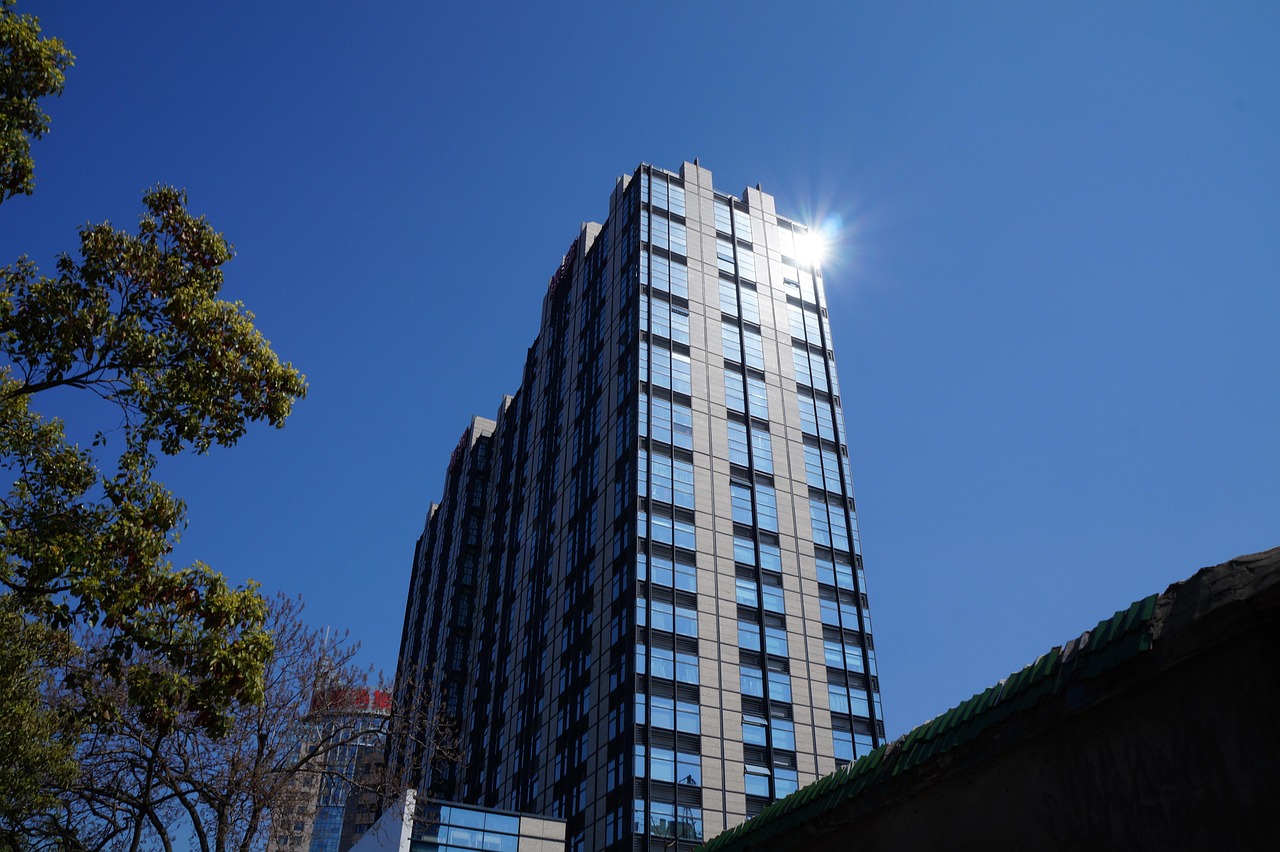 林口二手樓房最新發(fā)布，市場趨勢與購房指南