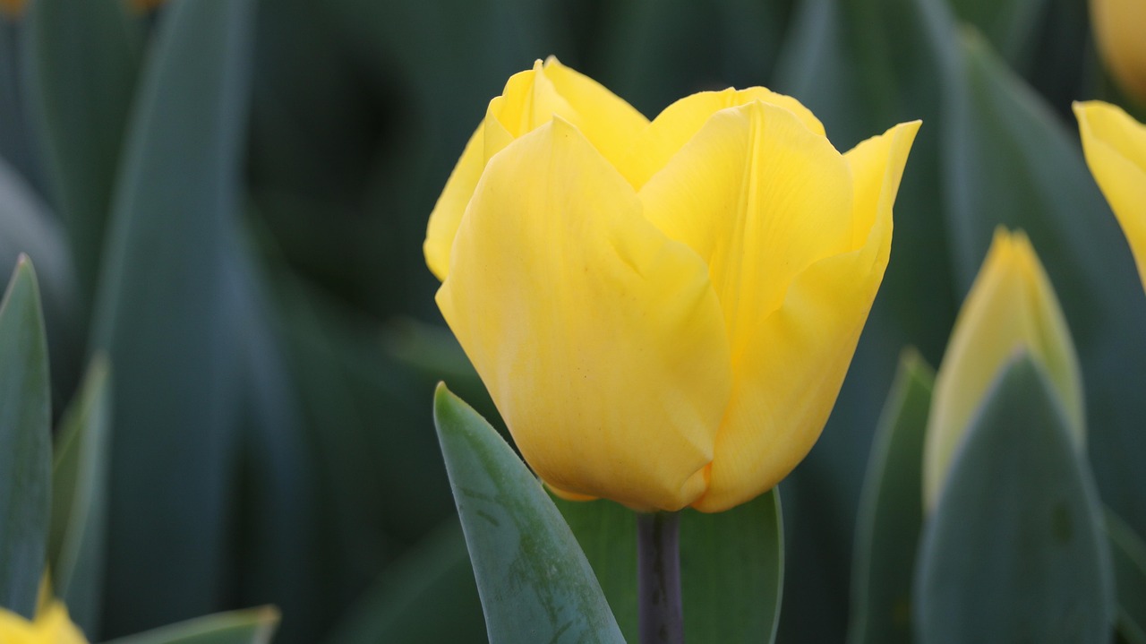 百色百投集團(tuán)最新招聘動(dòng)態(tài)，戰(zhàn)略背后的意義與崗位更新