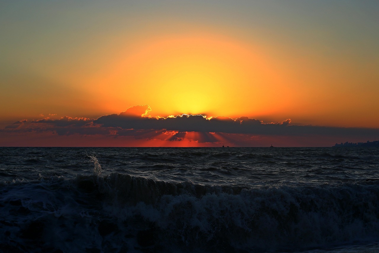 暮光之城女主最新動態(tài)，閃耀星辰的更新揭秘