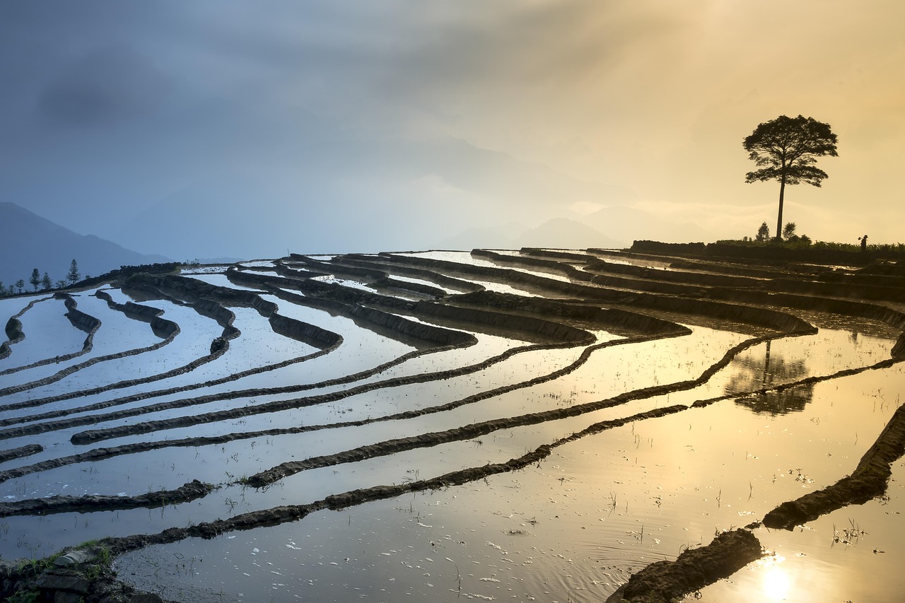 新鄉(xiāng)鳳泉湖最新進(jìn)展揭秘，生態(tài)城市壯麗序幕正式拉開！