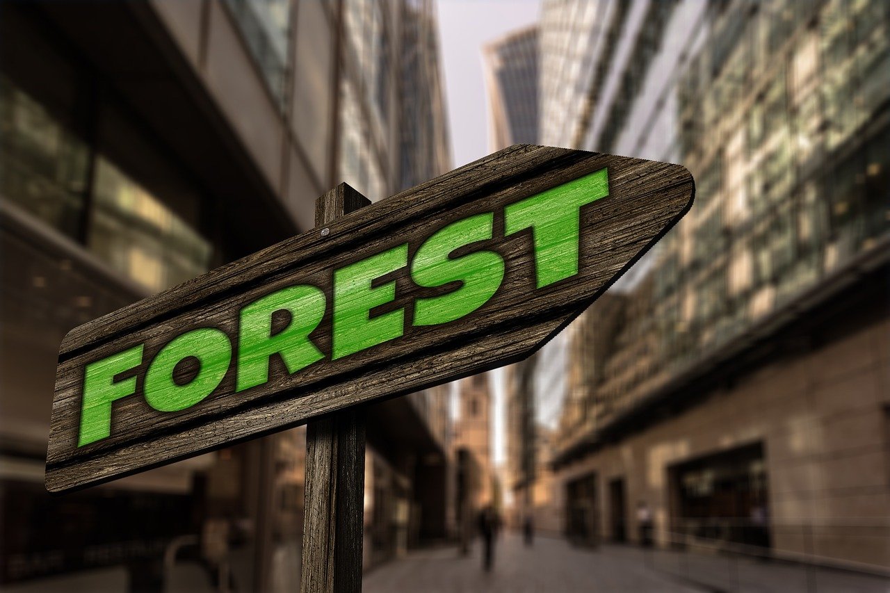 最新567彩票app下載體驗(yàn)，探索最新版本的功能與優(yōu)勢(shì)