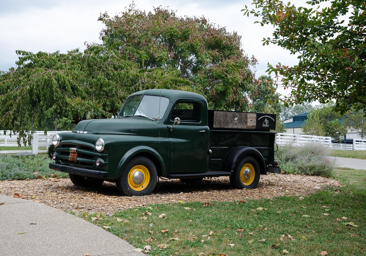 大興區(qū)蘆東路最新動態(tài)，發(fā)展進展與未來展望