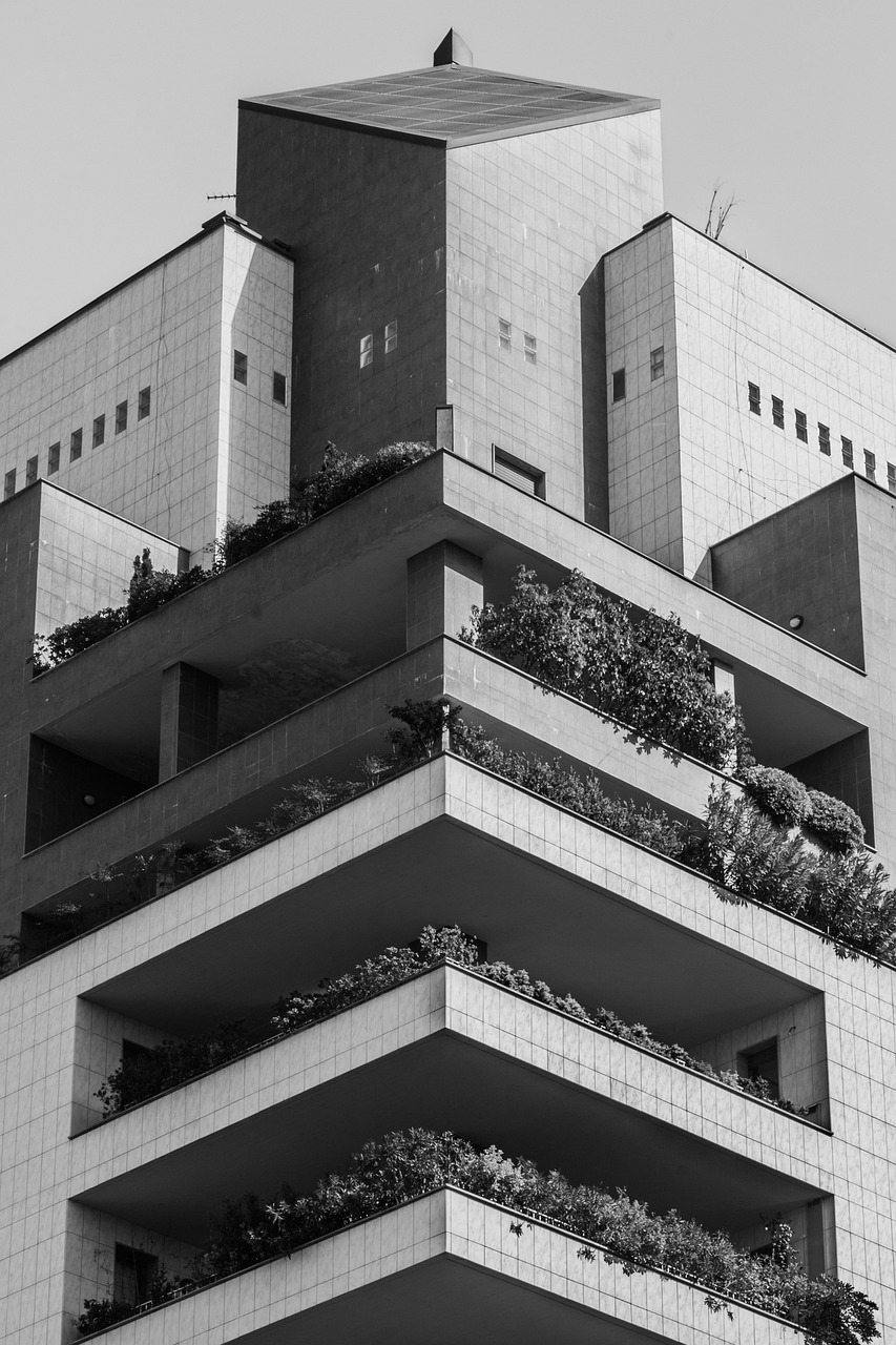 秦漢大道二期最新動態(tài)，建設進展及未來展望