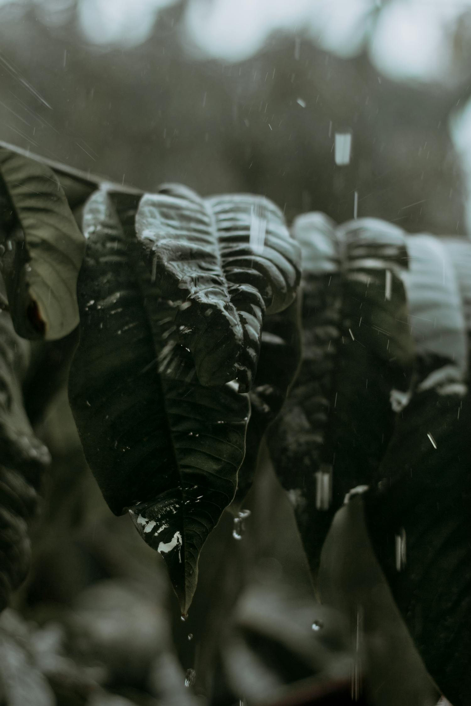 中超遼寧宏運(yùn)新賽季展望，蓄勢待發(fā)，最新動(dòng)態(tài)揭秘