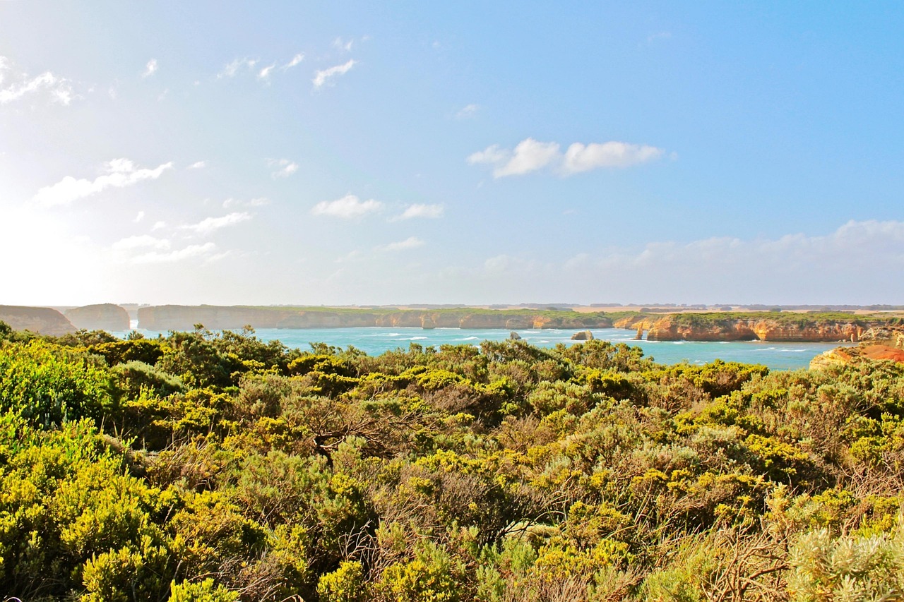 水洛鎮(zhèn)崖王村最新動態(tài)更新，最新消息匯總