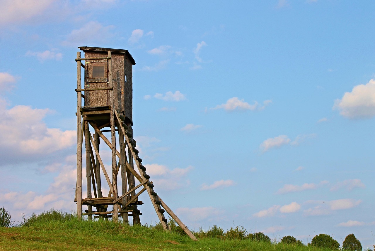 深圳群防云最新版本的全面解析與應用展望