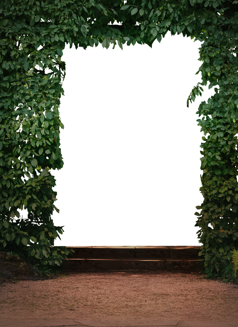 南湖公園二期最新動(dòng)態(tài)，綠色明珠的未來(lái)展望