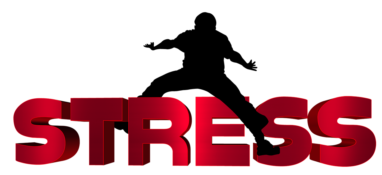 齊河二手車最新信息概覽，最新動(dòng)態(tài)一網(wǎng)打盡