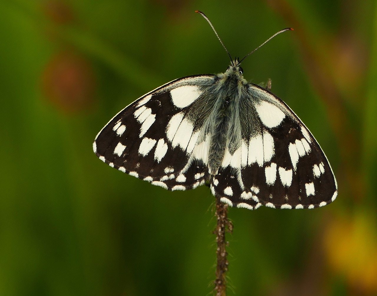 周村二手房最新信息概覽，最新房源、價(jià)格及交易動(dòng)態(tài)一網(wǎng)打盡