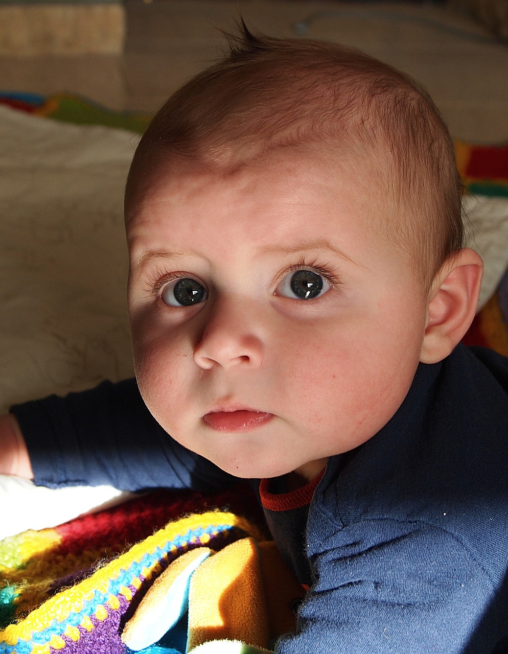 吳立勝與秦飛最新消息綜述，揭秘二人的最新動態(tài)