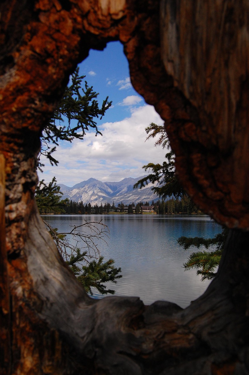 馬蓉最新動態(tài)與反思，風波中心的最新消息聚焦點