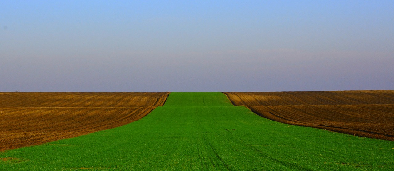 S7公路最新動態(tài)，邁向智能化與綠色化的未來之路