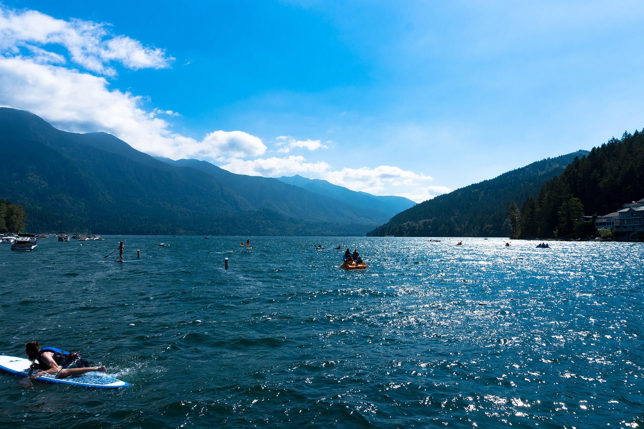廣東省李峰最新消息概覽，最新動態(tài)與進展。
