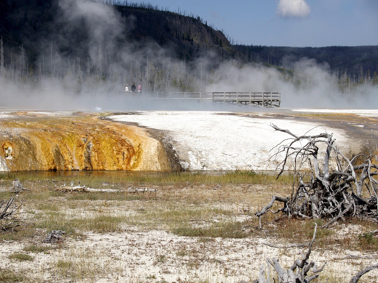 宏澤中央公園最新動態(tài)速遞，最新消息一覽