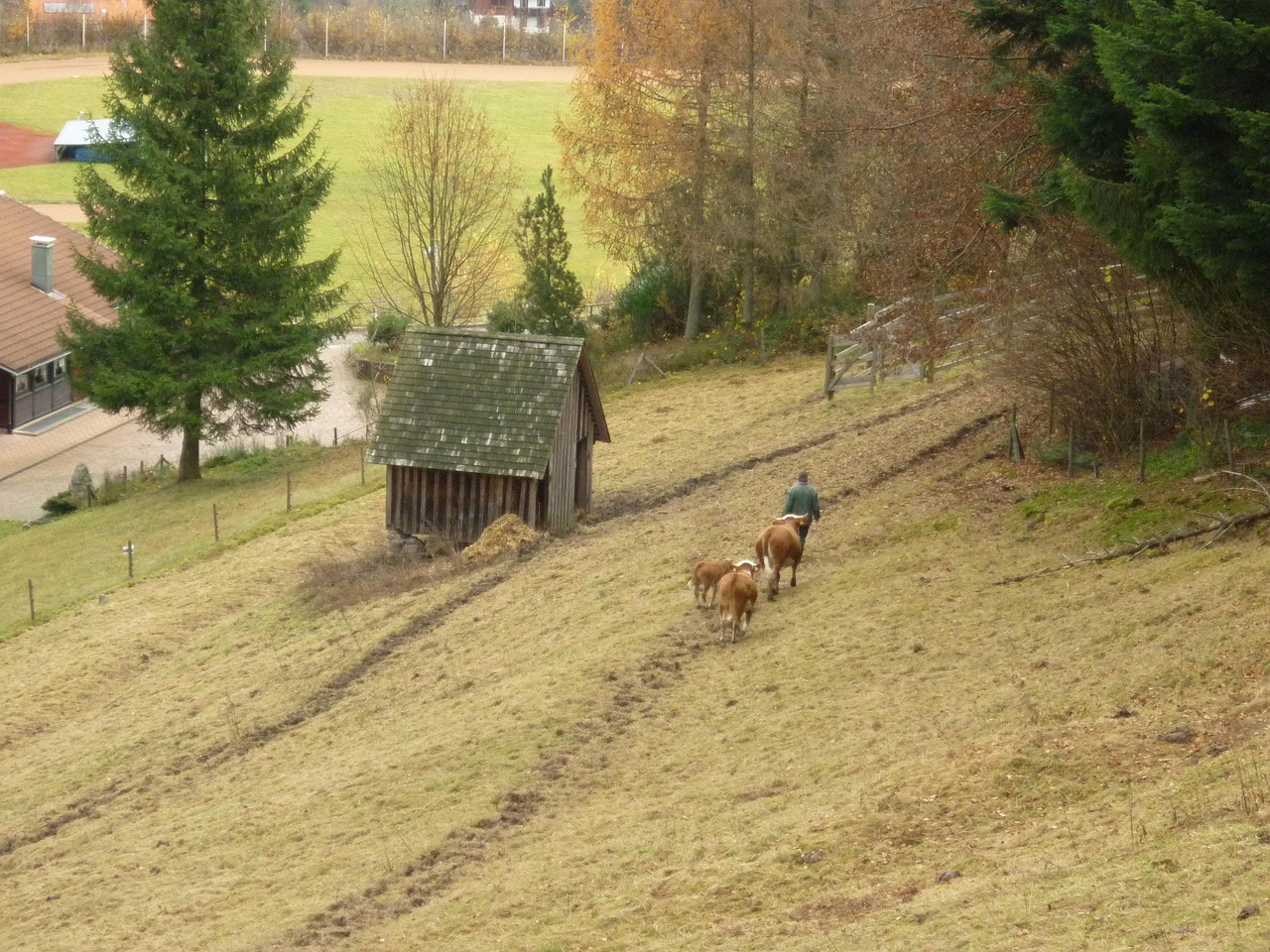 QQ農(nóng)牧場偷匪最新版，開啟游戲樂趣與挑戰(zhàn)的新篇章