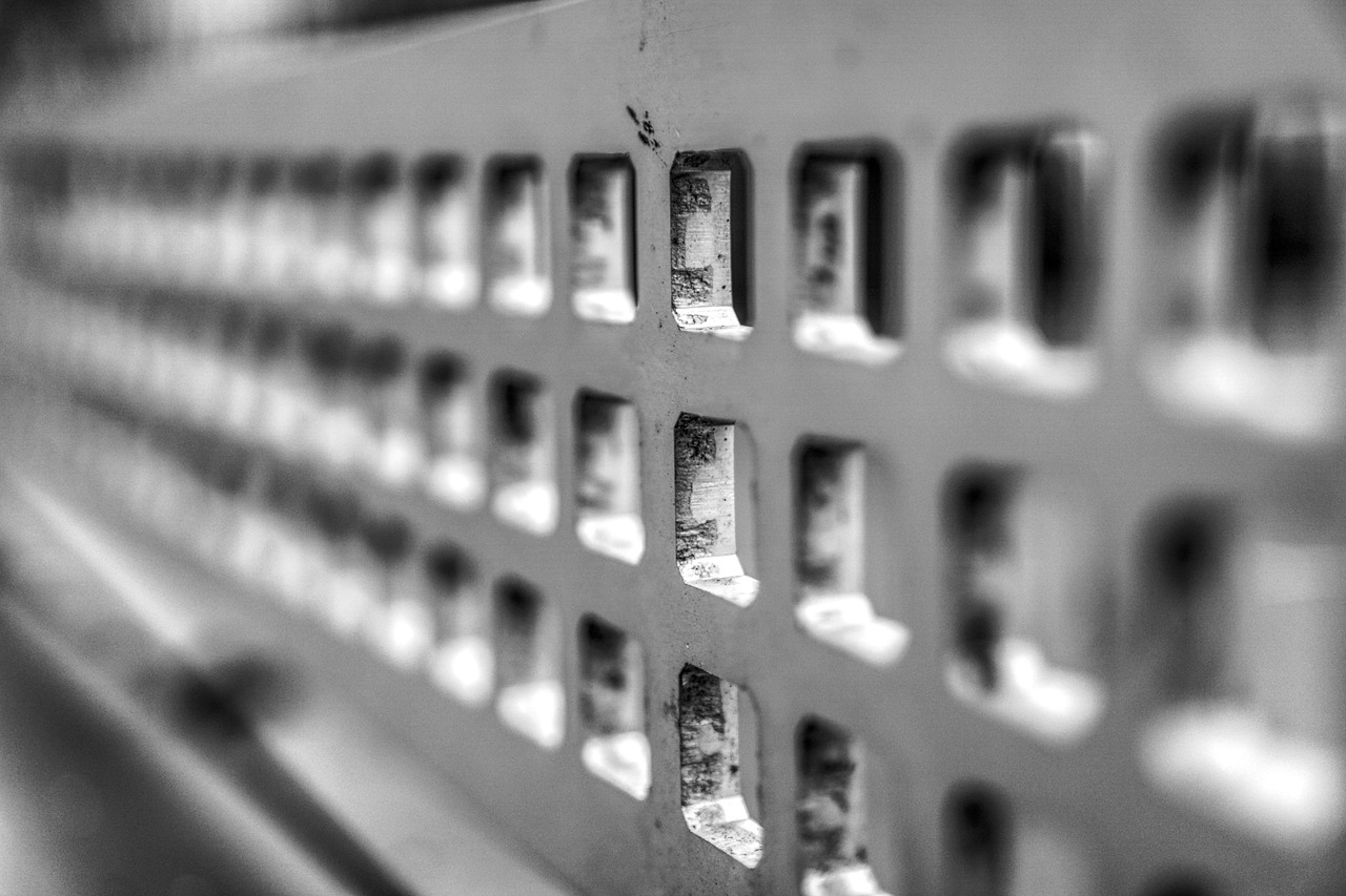 鄭萬高鐵云陽最新動(dòng)態(tài)更新