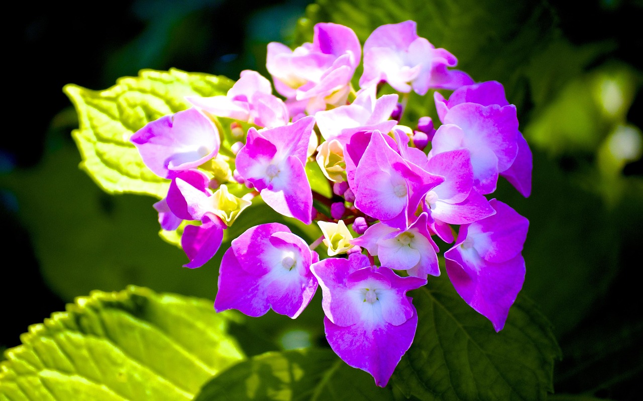 李景文將軍的最新動態(tài)，軍事生涯與卓越貢獻(xiàn)概述
