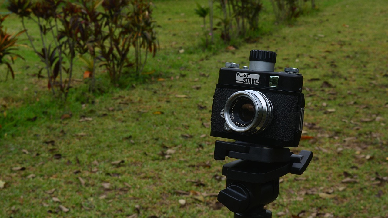 孔令輝與馬蘇的最新動(dòng)態(tài)，體育界耀眼明星的近況揭秘