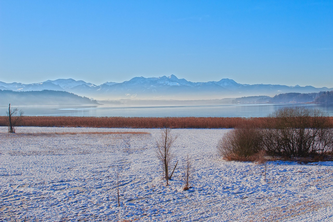 揭秘，關(guān)于1977年1分硬幣的最新消息與動態(tài)分析