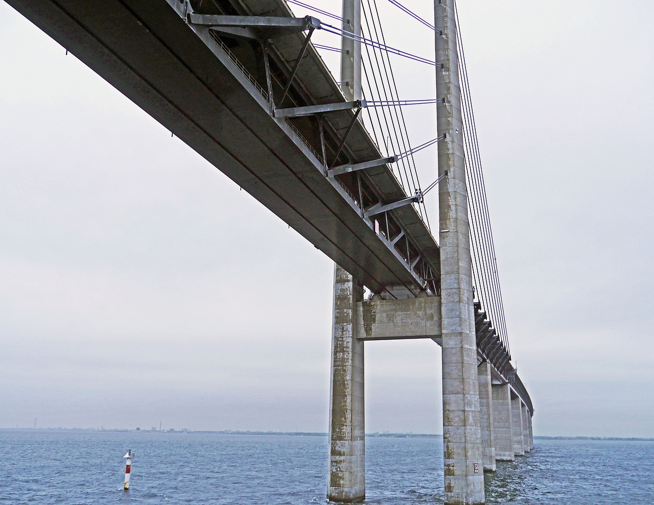 肆戰(zhàn)作王 第6頁