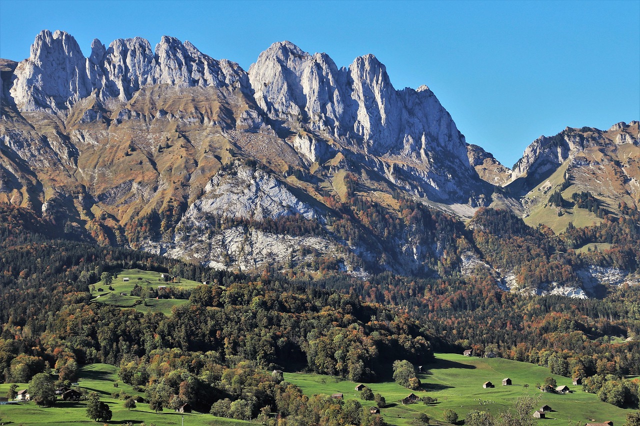 灃西新城資村發(fā)展最新動(dòng)態(tài)，脈絡(luò)、展望與未來趨勢(shì)