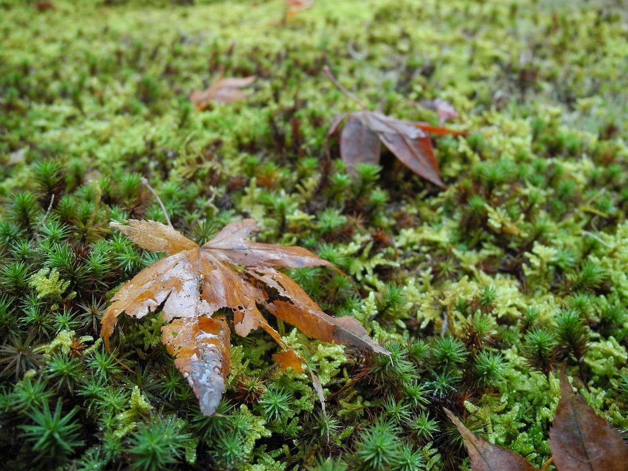福建三明市最新新聞概覽，聚焦當(dāng)?shù)貢r事熱點與動態(tài)