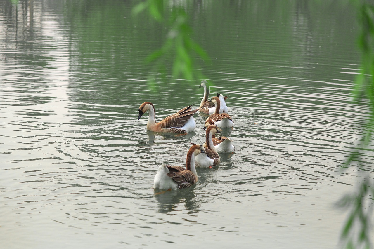 澳門科技大學(xué)最新消息綜述，發(fā)展動態(tài)與亮點展示