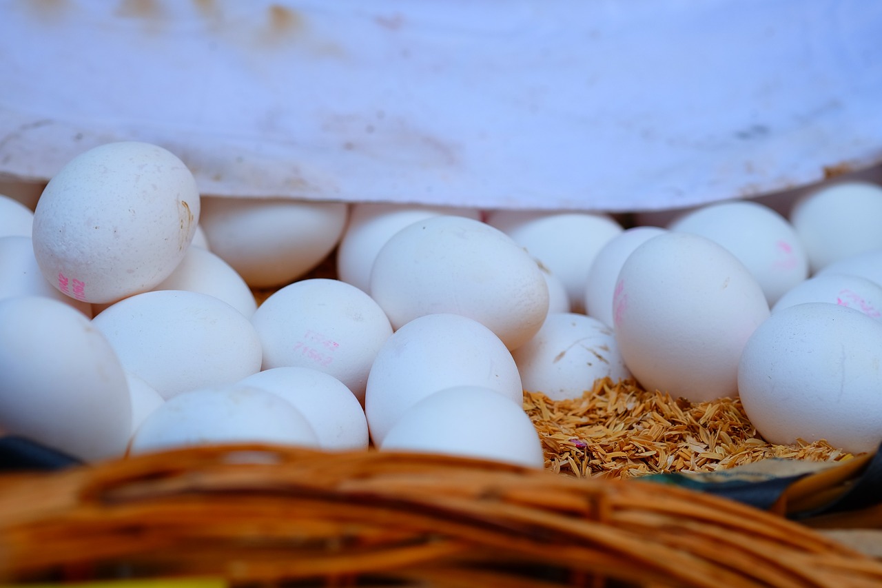 杭州網(wǎng)約車最新動(dòng)態(tài)，行業(yè)變革與未來展望