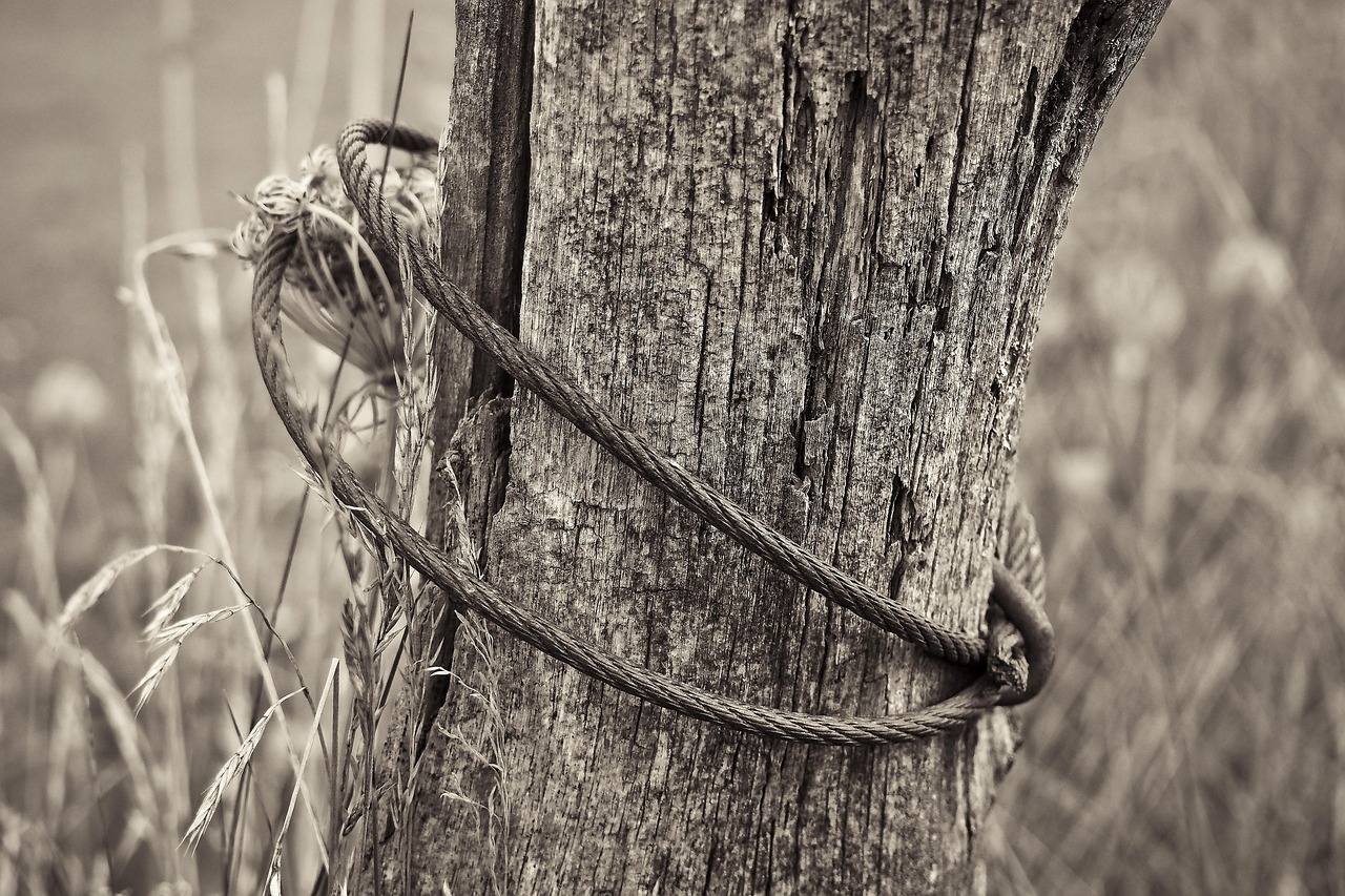 祁陽撤縣劃市最新動(dòng)態(tài)，轉(zhuǎn)型發(fā)展開啟嶄新篇章