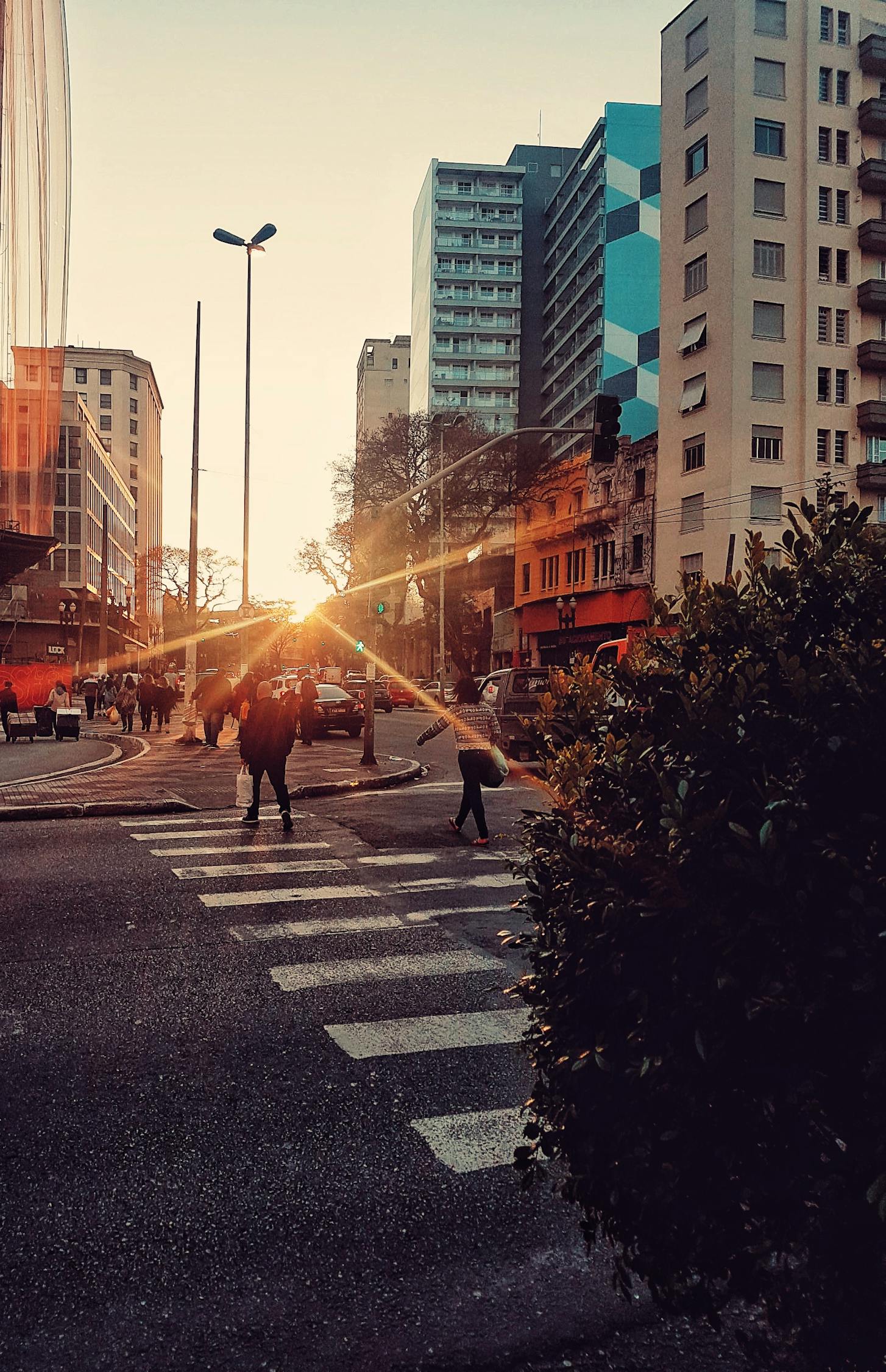 漯河市西城區(qū)繁榮崛起，城市新篇章揭秘發(fā)展動態(tài)