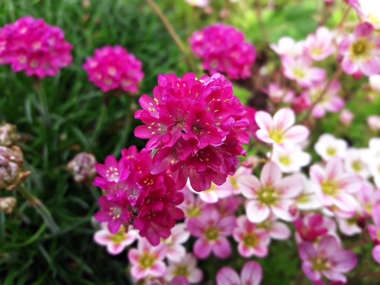 BX7寶沃6六座車型的創(chuàng)新發(fā)展及最新動(dòng)態(tài)