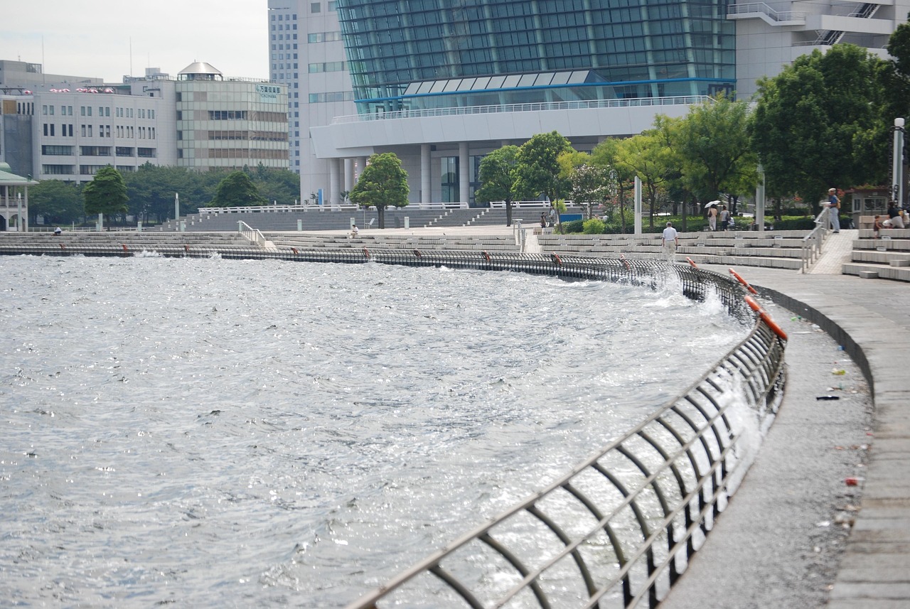 鄭州海昌海洋公園最新動態(tài)揭秘，揭開神秘面紗，展現(xiàn)海洋魅力奇觀