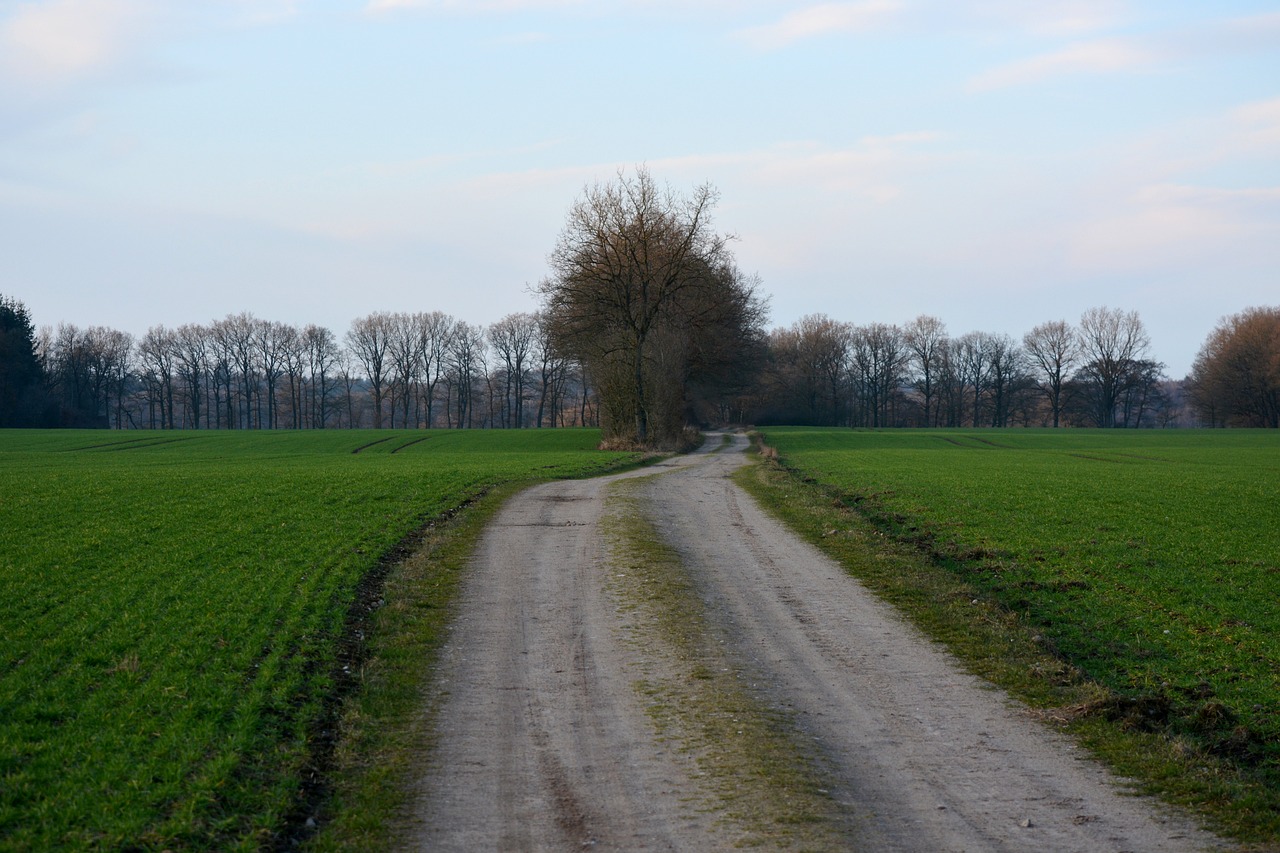 農村土地平整最新政策解讀與概述