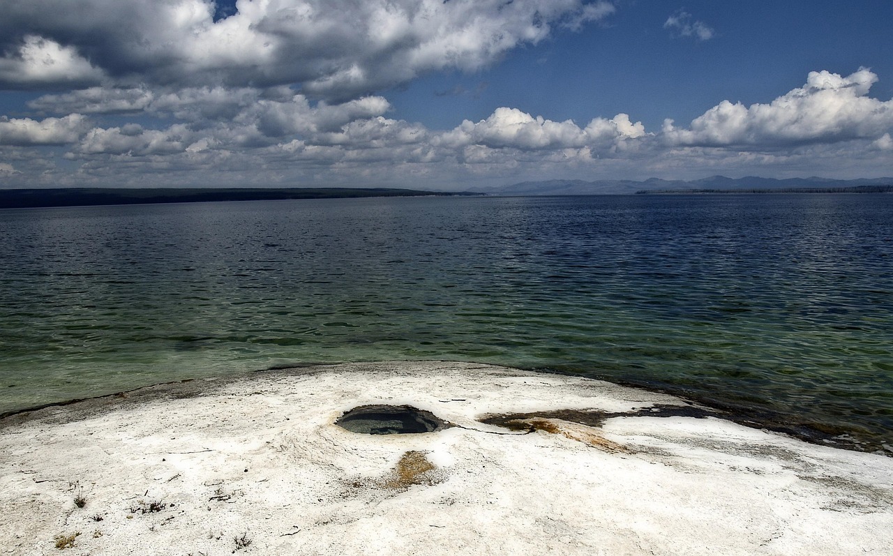 美國(guó)黃石國(guó)家公園最新消息深度解析與探討