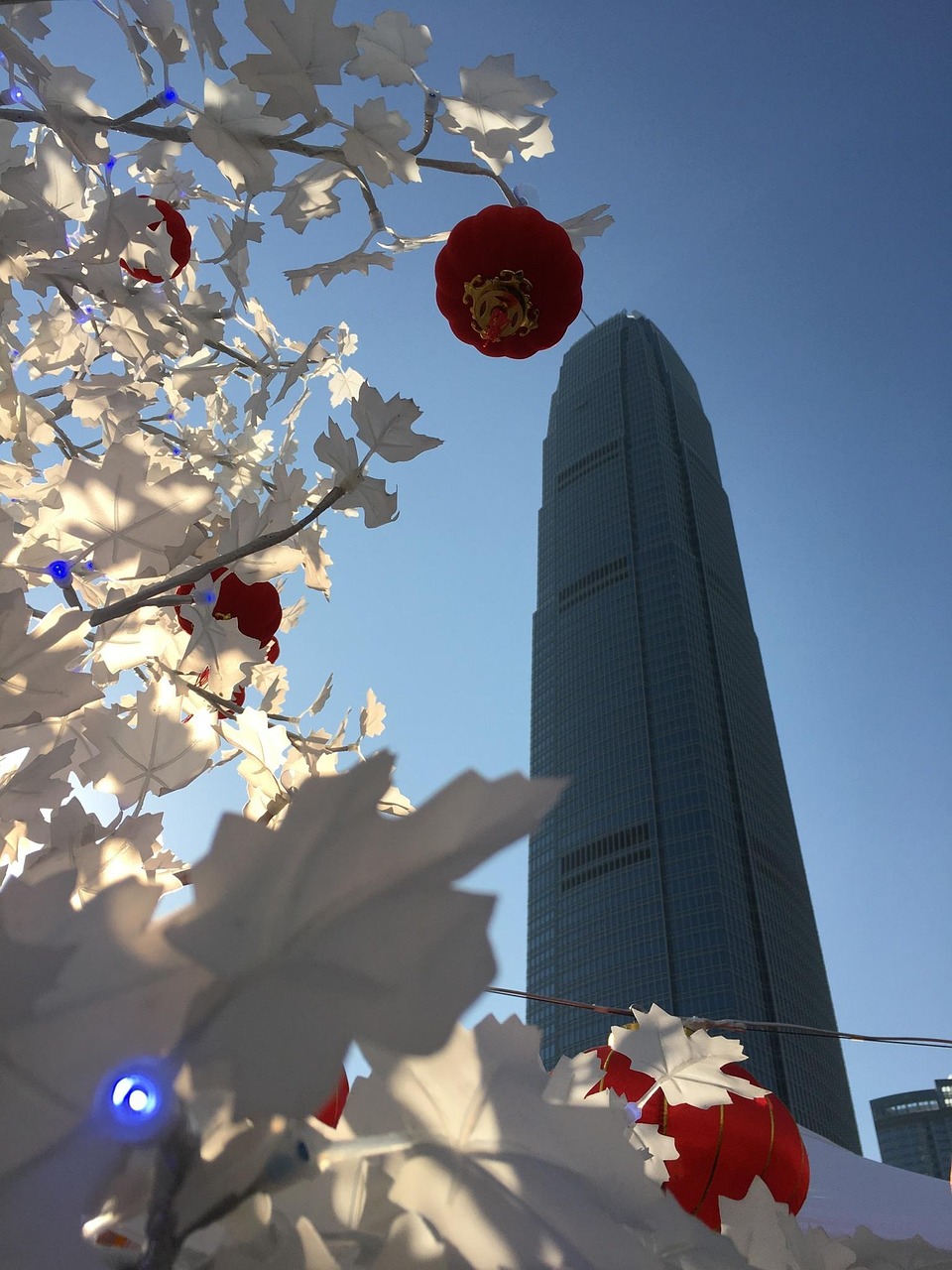 漫漫長夜新版本砍樹探索，全新體驗之旅