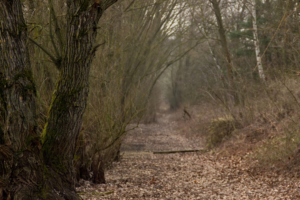 北京農貿市場最新價格表及動態(tài)更新