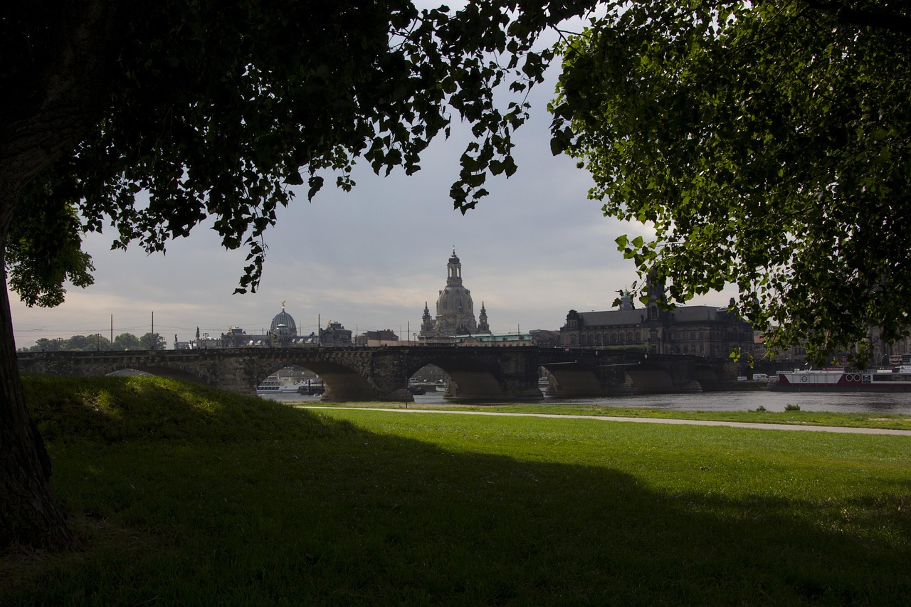 成華圣燈公園最新進展，城市綠色心臟蓬勃生長