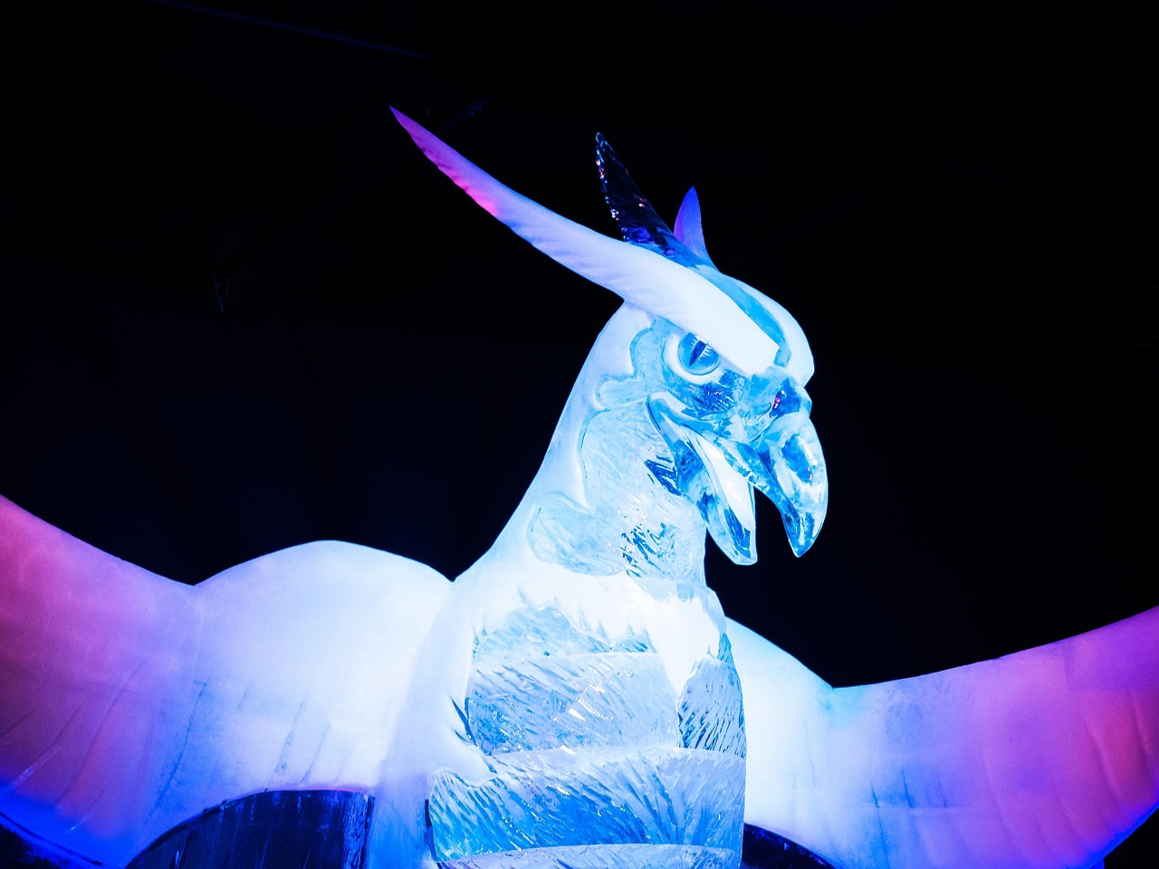 內(nèi)蒙古王東偉最新動(dòng)態(tài)，揭開(kāi)神秘面紗，展現(xiàn)新時(shí)代風(fēng)采